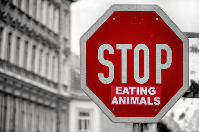 Stopschild mit "Eating Animals"-Aufkleber darunter 