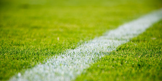 Rasen mit weißer Markierung des Spielfeldrands 